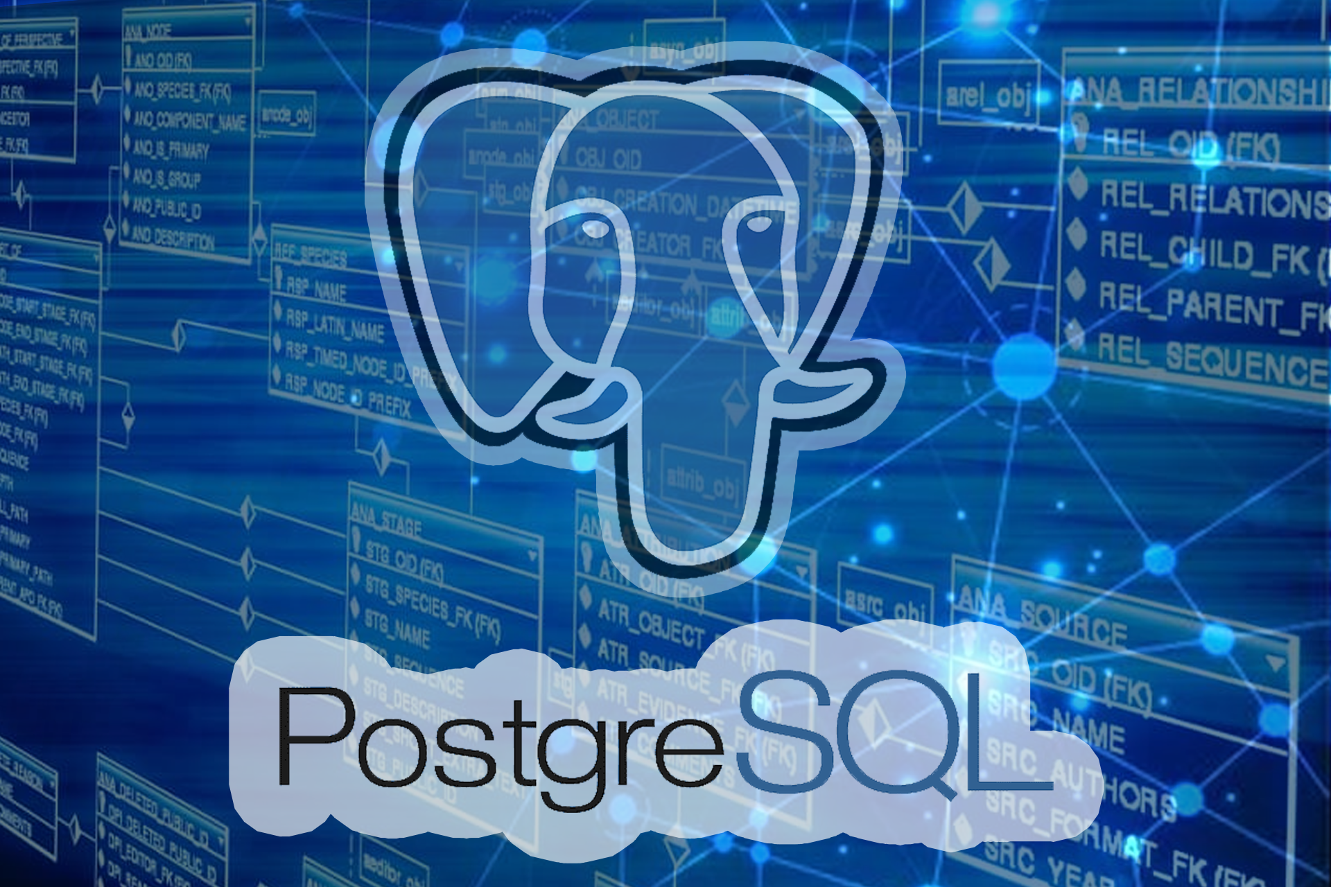 Photo PostgreSQL